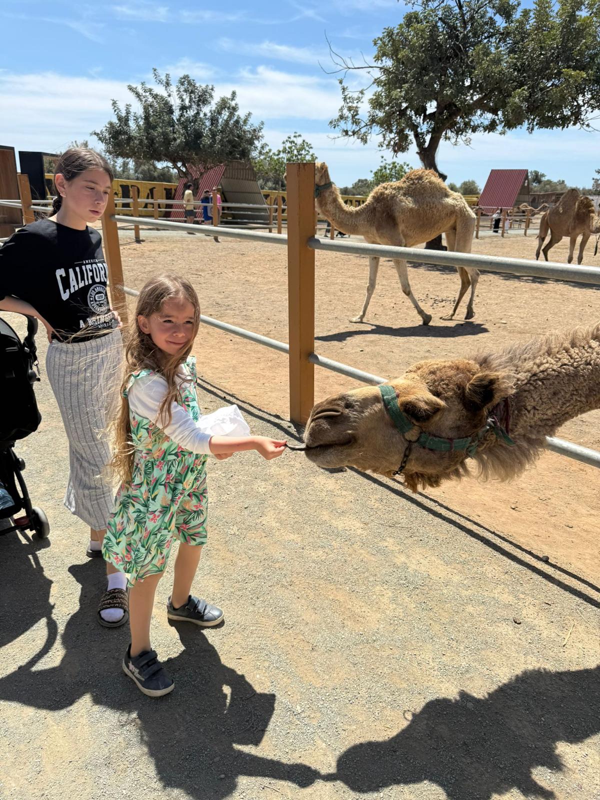 Sarah et sa famille 3